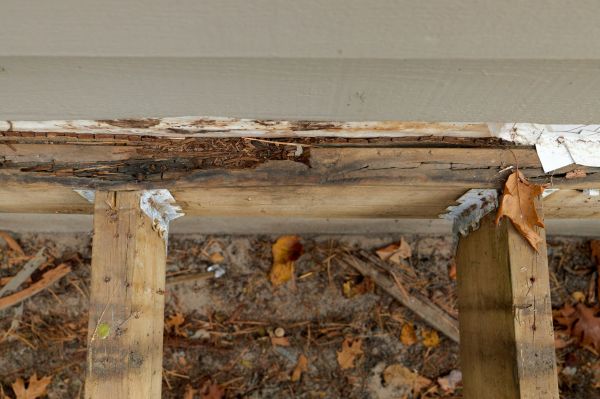 Chattanooga Wood Rot Repair