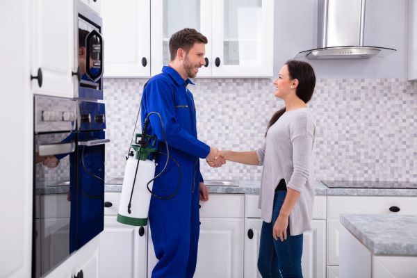 Chattanooga Pest Control Service