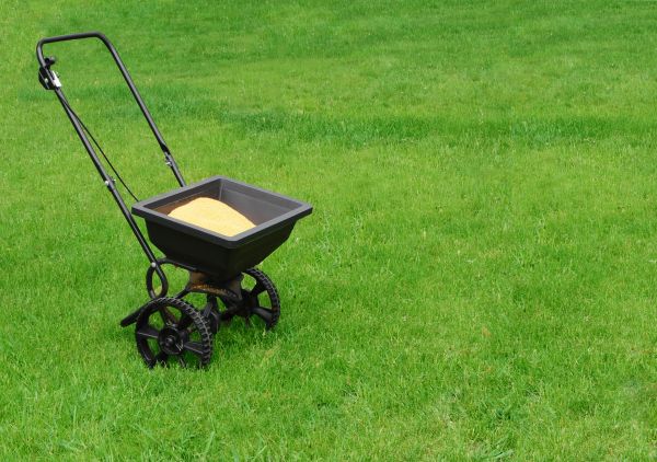 Chattanooga Lawn Treatment